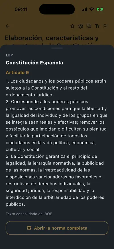 Un artículo de ley abierto en la app, con su texto literal